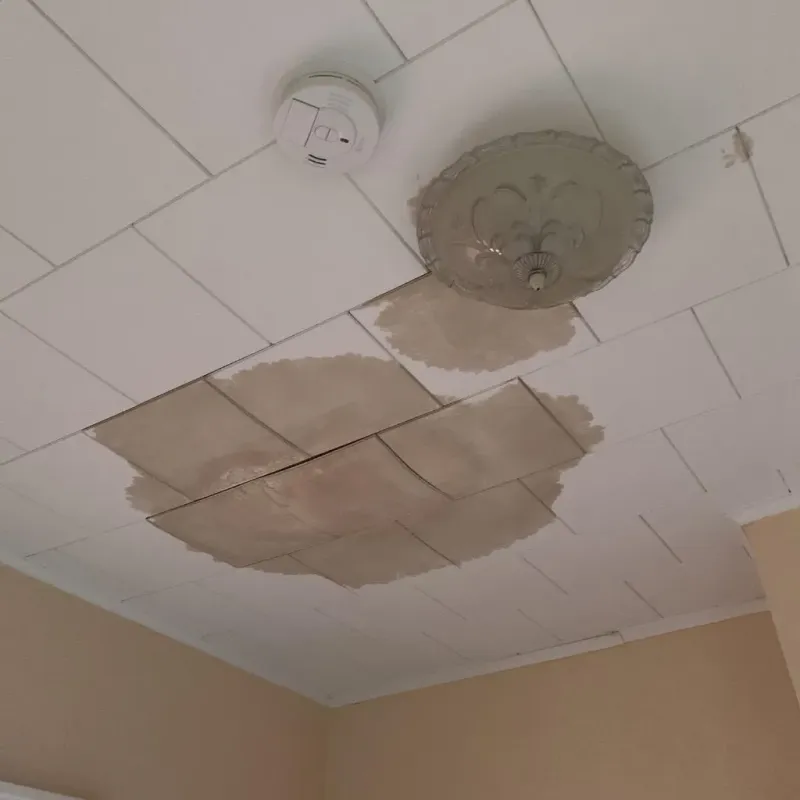 Ceiling Water Damage Repair in Silver Ridge, NJ