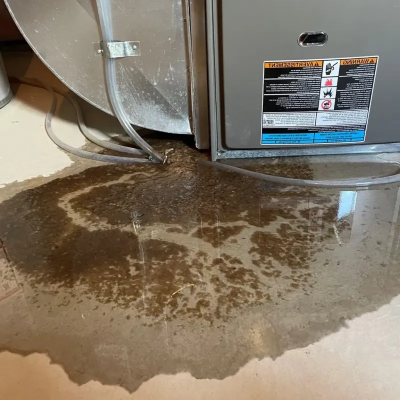 Pipe Burst and Leak Restoration in Silver Ridge, NJ