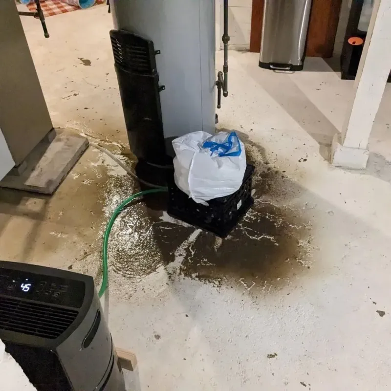 Sewage Backup Cleanup Service in Silver Ridge, NJ